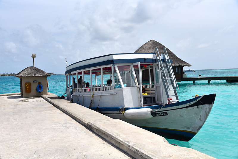 ドーニーが迎えに来たら乗り込んで出発