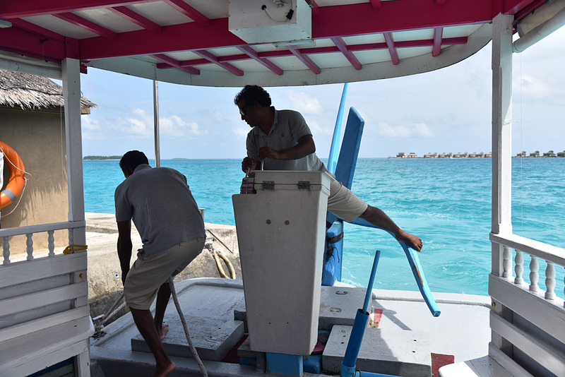 足の華麗な動きで舵取りを行なうのが特徴
