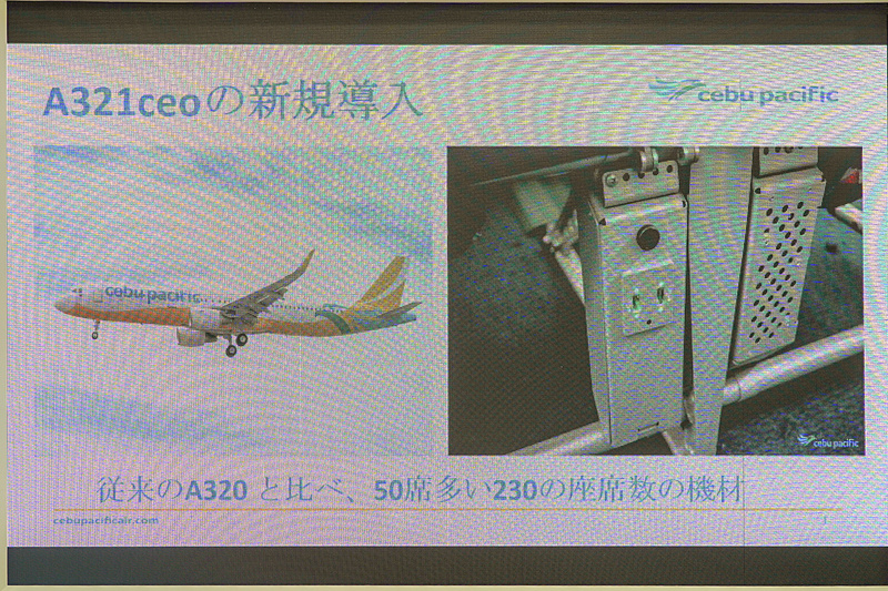 新しく導入されたエアバス A321ceo型機