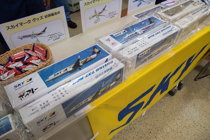 通常塗装機のほか、デカール機のモデルプレーンも販売