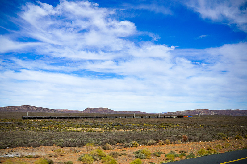 南アフリカの大自然のなかをゆったり走る豪華大陸縦横断鉄道「ロボスレイル」。ケープタウン近郊を移動中の車内で偶然出会った