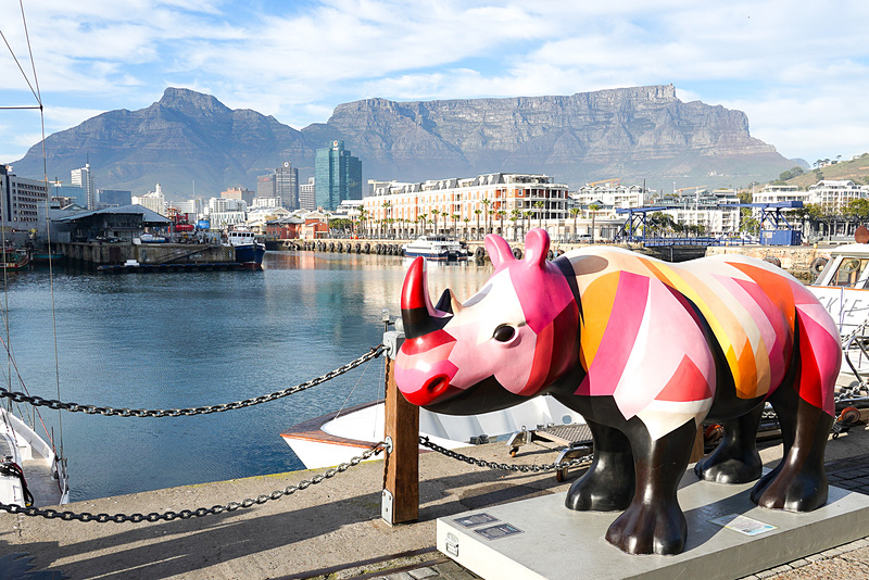 こんなかわいいアートも飾られていた。Nardster*というアーティストの「The Rhinos are Coming !!!」