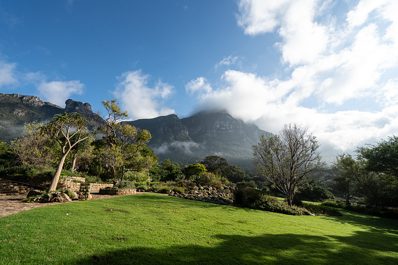 カーステンボッシュ国立植物園の園内。広々としていてとても居心地がよい