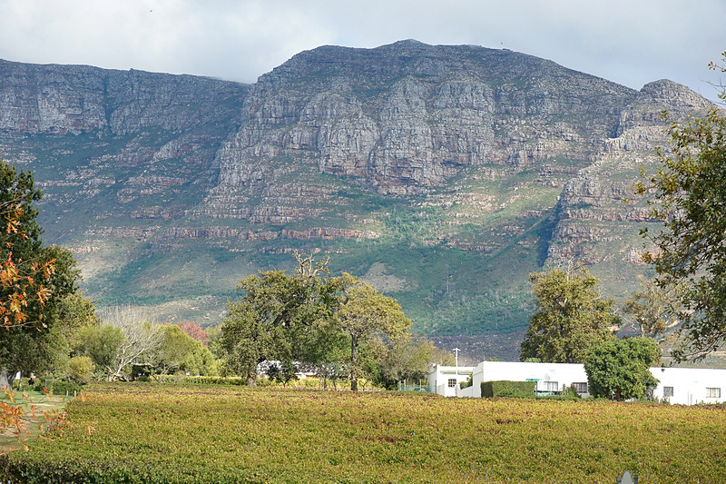ワイナリーは、テーブルマウンテンの南に広がるコンスタンシア地区にある