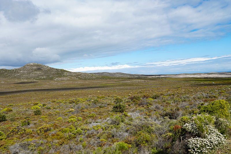自然保護区は、このような岩肌の平原が続く