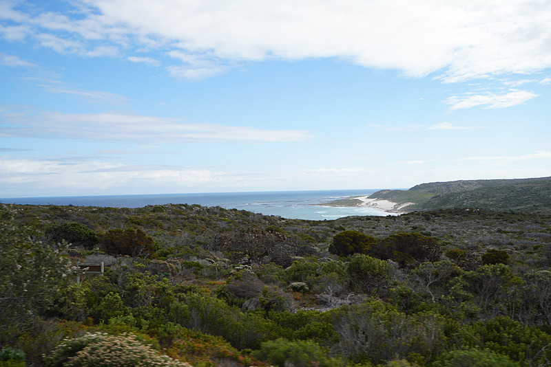 海が見えてきた