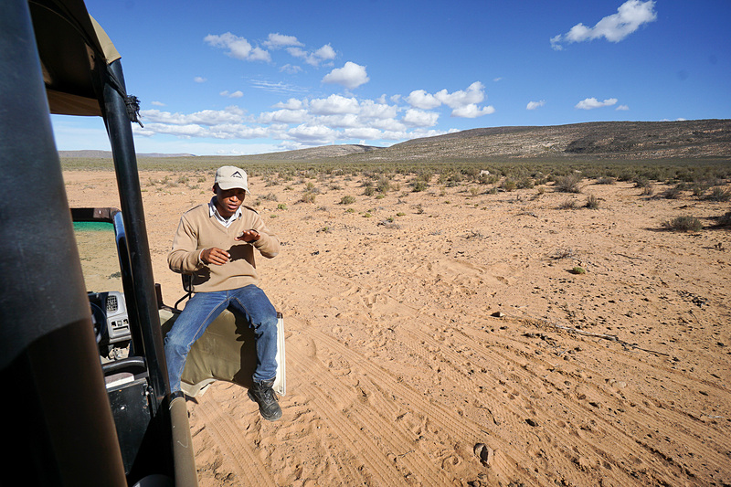 要所でドライバーがこのような感じで解説してくれる