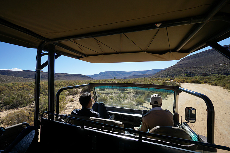 サファリカーでグイグイ進んでいく。広大なエリアだ
