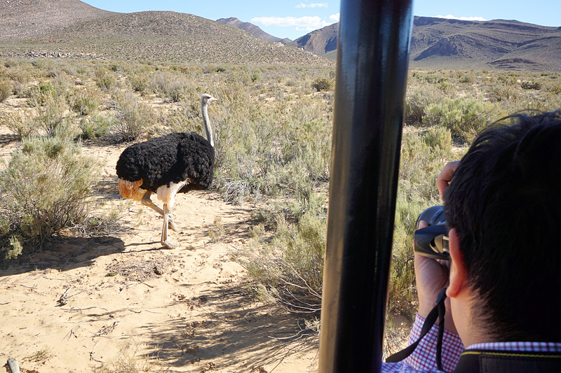 かなり近くまで寄って来た