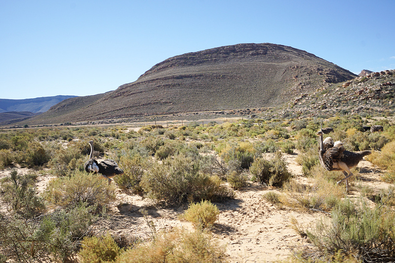広く見るとこのような雄大な景色