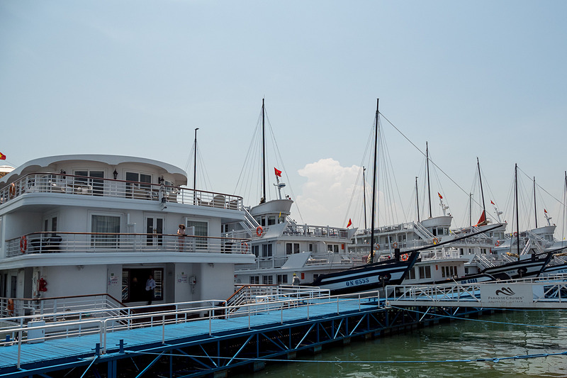 Paradise Cruiseのターミナルに並ぶ多数の船