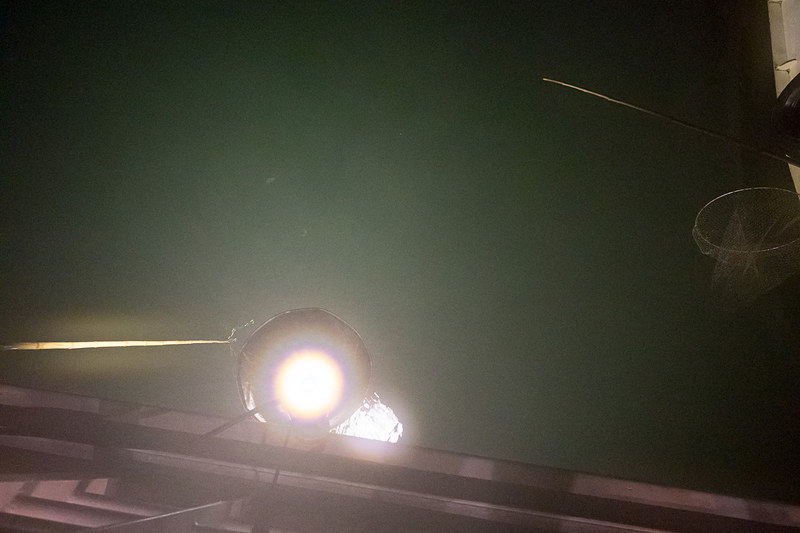 ディナー後には船尾でイカ釣りに挑戦できる。「イカ釣りを楽しめる」と表現しないことで釣果報告に代えさせていただきたい