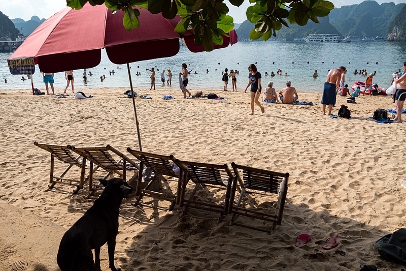 ビーチでのんびりと過ごすこともできる