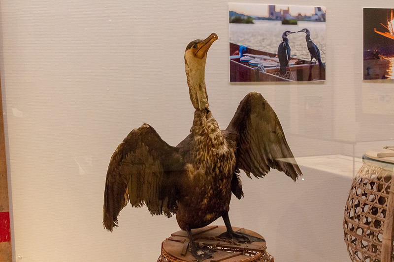 木曽川は鵜飼いでも有名