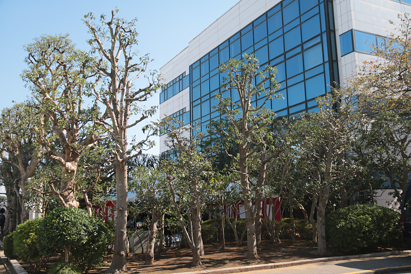 斎行前の様子。日航香取神社はJALエンジン整備工場前にある