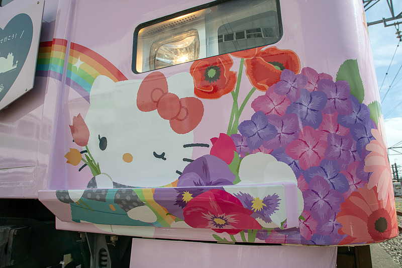 ステップの裏面にも絵柄がラッピングされていた