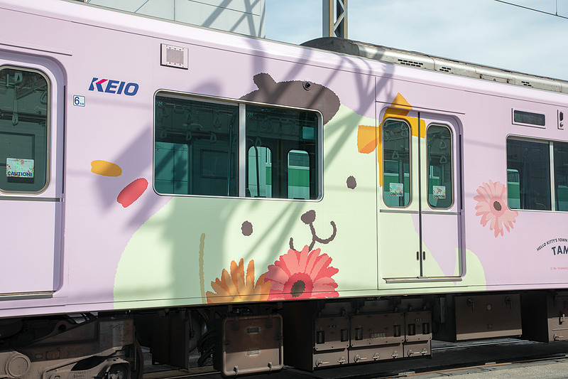 使用しているキャラクターは8体。イラストはすべて今回のために描き下ろした新作なのでファンは必見。デザインは車両ごとに異なるが、同じ車両では左右のデザインは同一