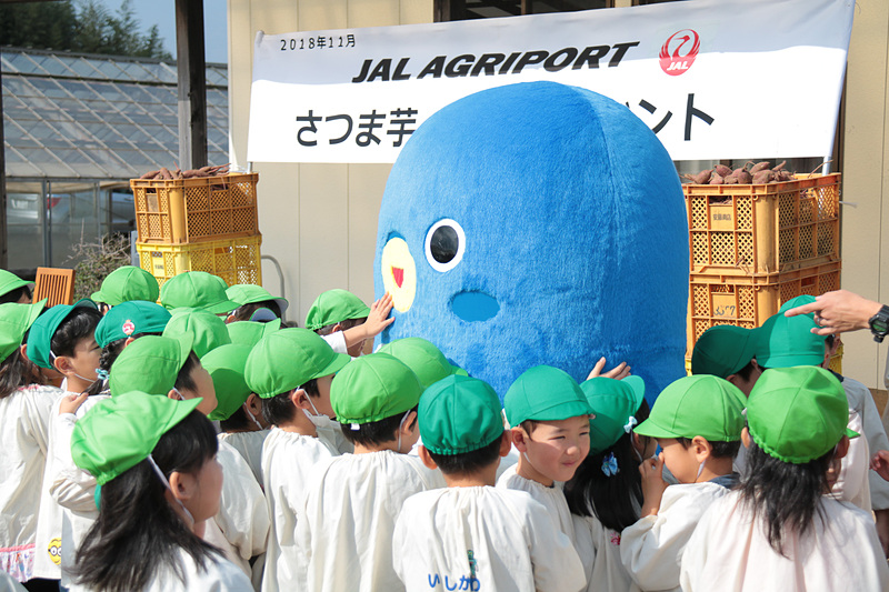 園児たちに「うなりくん」は大人気で、抱きついたり叩いたり大はしゃぎ。JAL Agriportの鎌形社長は「今日収穫してもらうサツマイモは5月に定植したサツマイモです。無事に収穫の時期を迎えることができました。園児の皆さんも元気よく芋を掘ってくださいね」と園児たちにあいさつした