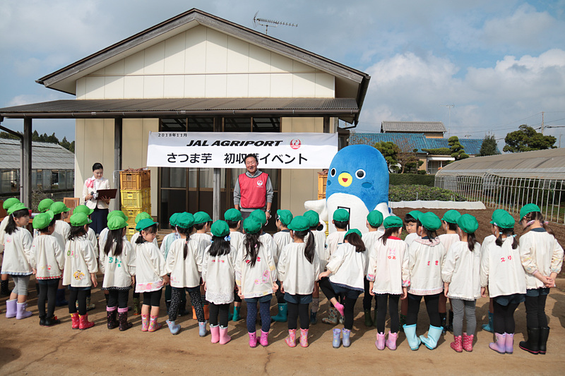 園児たちに「うなりくん」は大人気で、抱きついたり叩いたり大はしゃぎ。JAL Agriportの鎌形社長は「今日収穫してもらうサツマイモは5月に定植したサツマイモです。無事に収穫の時期を迎えることができました。園児の皆さんも元気よく芋を掘ってくださいね」と園児たちにあいさつした