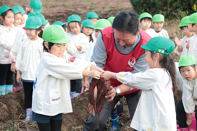 初堀りの瞬間。JAL Agriportの鎌形社長と一緒にサツマイモを掘ったのは、園児代表の2人