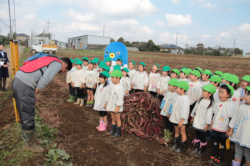 サツマイモ掘りが終了して、園児代表と鎌形社長があいさつ。みんなで手を振ってイベントは終了した