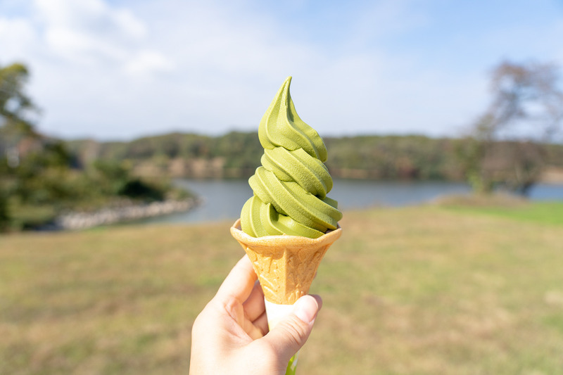 抹茶ソフトクリーム（380円）を食べたのですが濃厚なのに甘すぎずさっぱりした後味で絶品！　これはオススメ