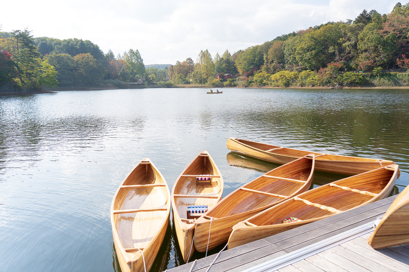 フィンランドの景色そのまんま！