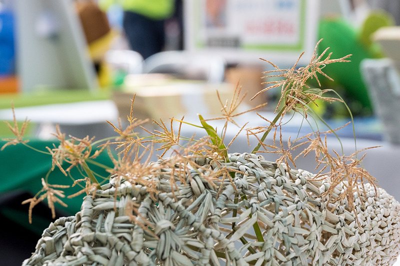 大分県国東市は、高級畳の材料として使われる七島藺（七島イ）を使った工芸品の販売のほか、七島藺のミサンガ作りワークショップを実施。写真右下は七島藺の花だ