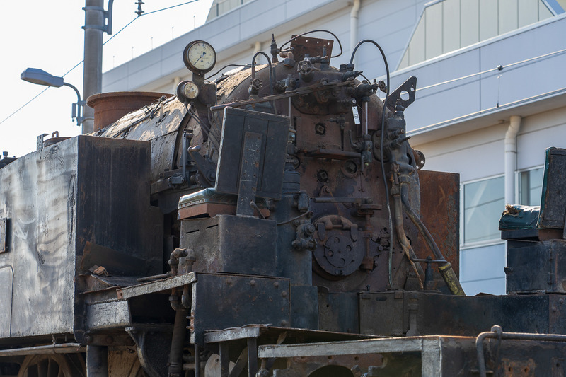 間近で撮影ができました