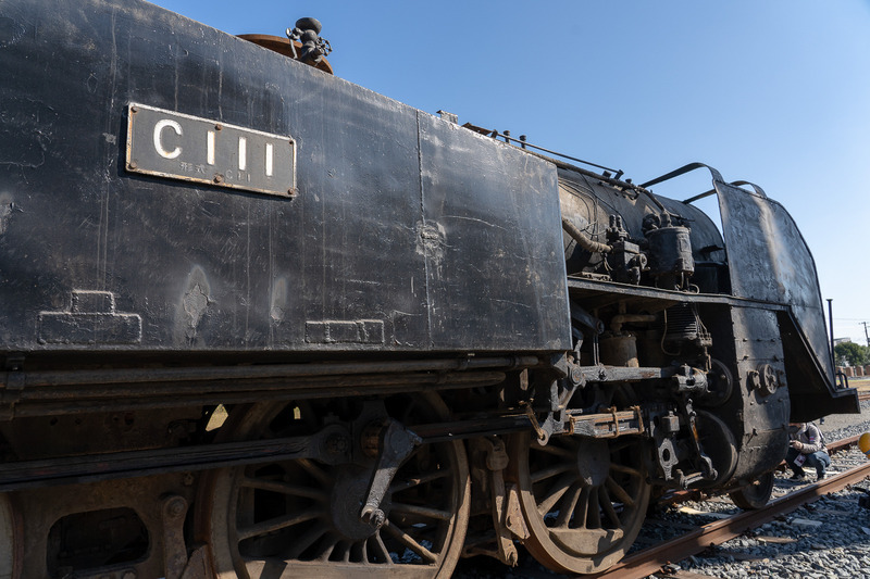 間近で撮影ができました