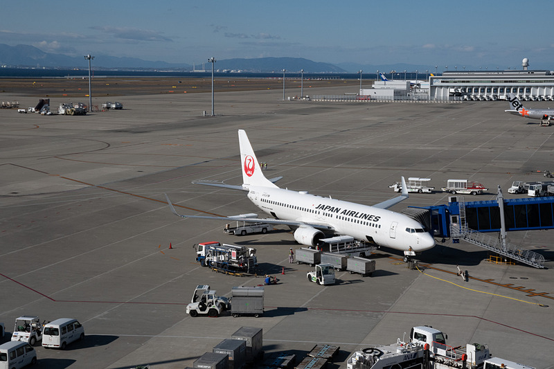 昼のスカイデッキでは、JALの飛行機などを見ることができる