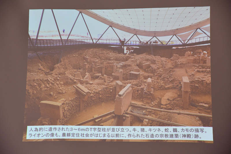 屋根付きで見学が天候に左右されない