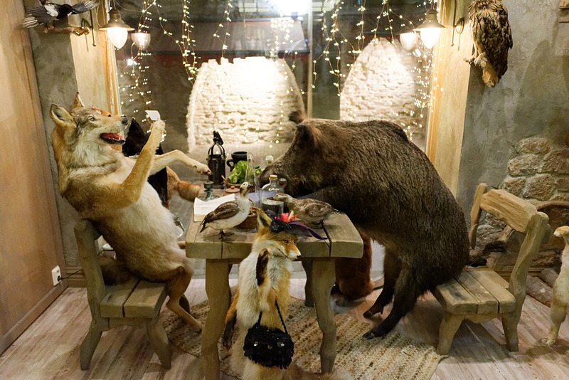 店内に入ると、家庭的な雰囲気の動物たちが剥製の姿でお出迎え