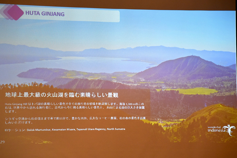 丘からは広がる絶景が楽しめる