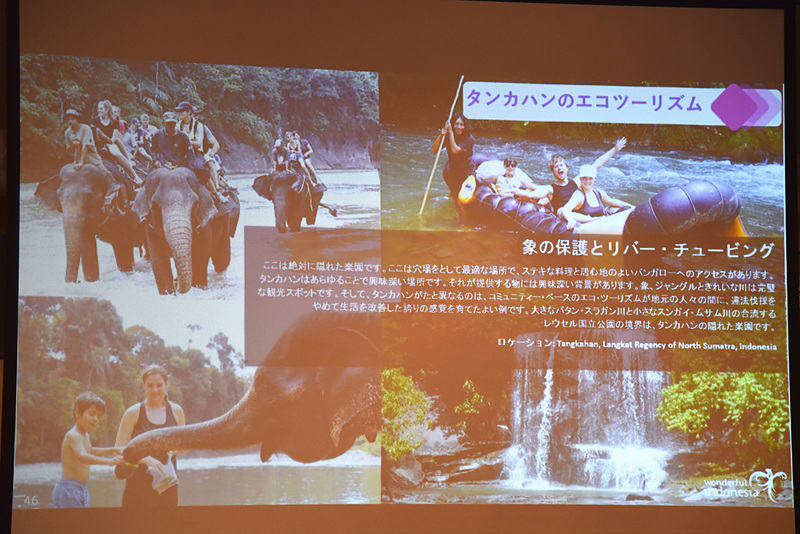 「タンカハンのエコツーリズム」で象たちに癒される体験も