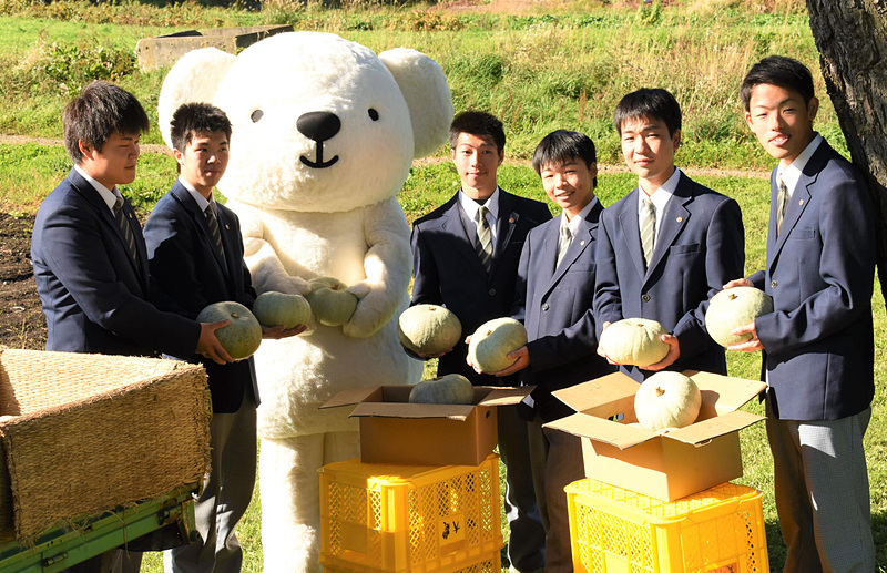 雪化粧かぼちゃを箱詰めする北海道大野農業高校生とベア・ドゥ