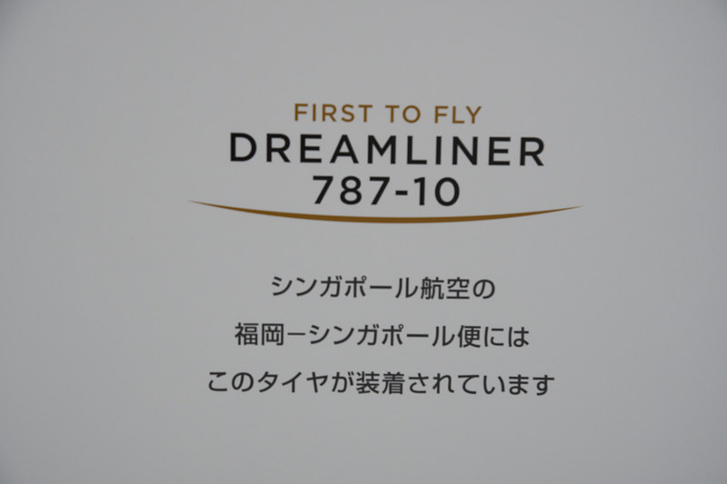 ホイールには、シンガポール航空で利用されていることが記されている