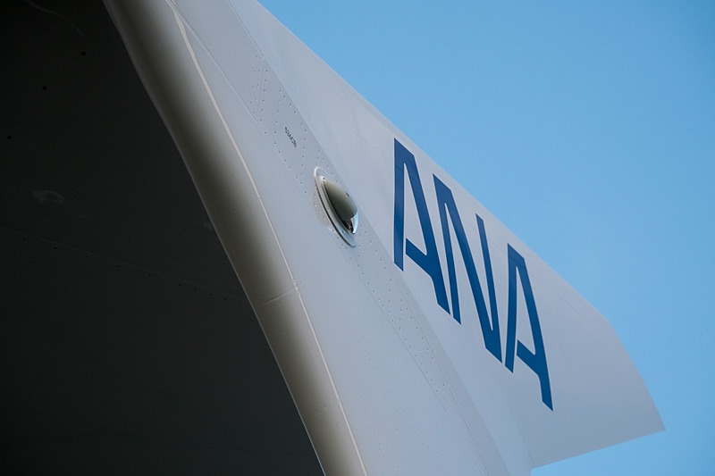 ウィングチップの両面に「ANA」ロゴがあしらわれている