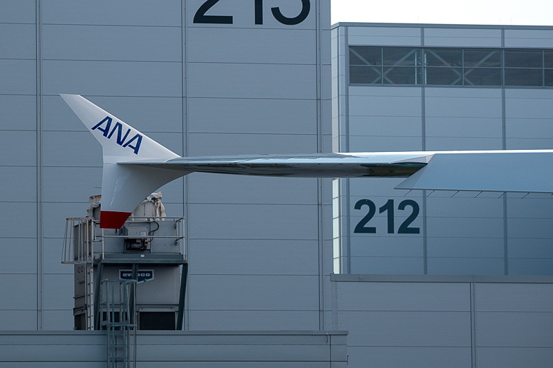 ウィングチップの両面に「ANA」ロゴがあしらわれている