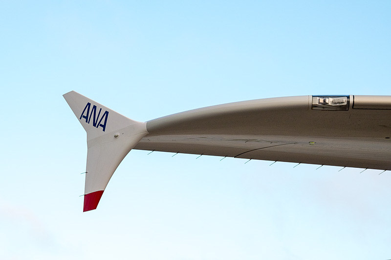 ウィングチップの両面に「ANA」ロゴがあしらわれている