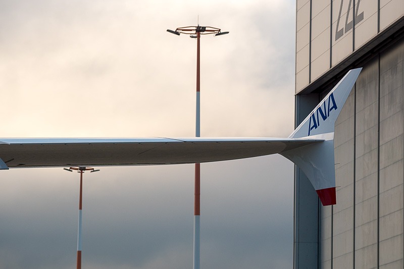 ウィングチップの両面に「ANA」ロゴがあしらわれている