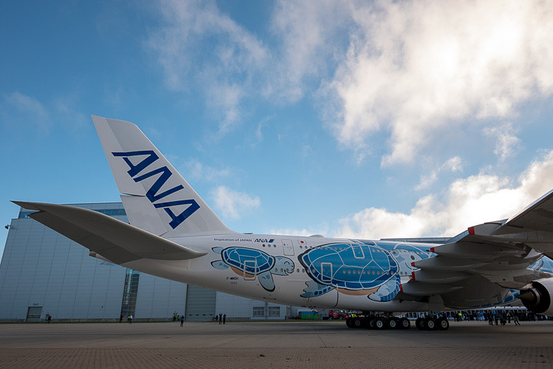 機体左右後方には亀の親子。ハワイの海をイメージした亀の名前は「ラニ（Lani）」