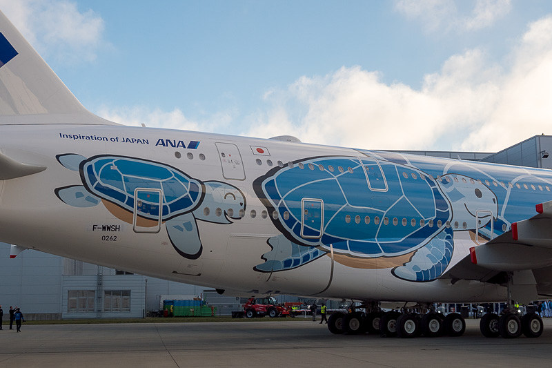 機体左右後方には亀の親子。ハワイの海をイメージした亀の名前は「ラニ（Lani）」