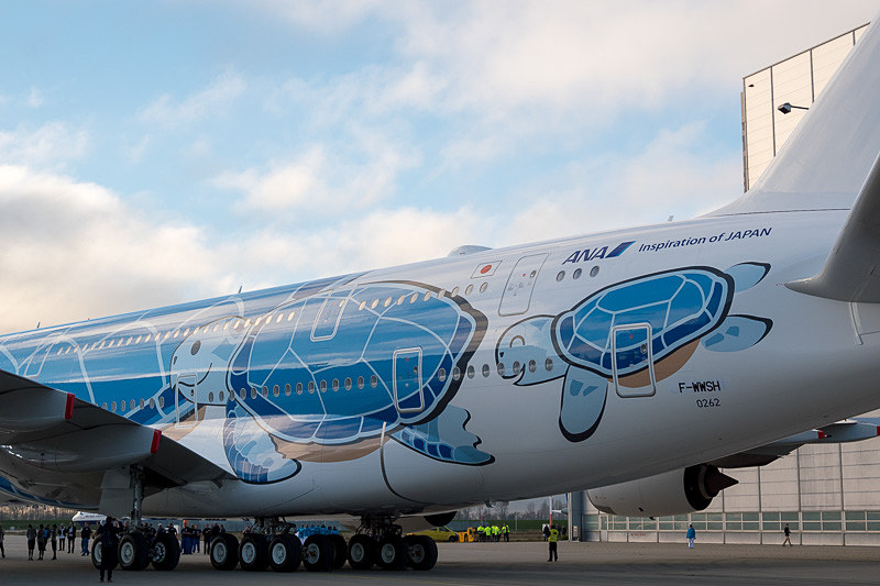 機体左右後方には亀の親子。ハワイの海をイメージした亀の名前は「ラニ（Lani）」