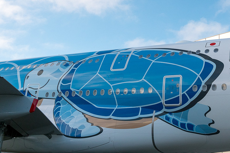 機体左右後方には亀の親子。ハワイの海をイメージした亀の名前は「ラニ（Lani）」