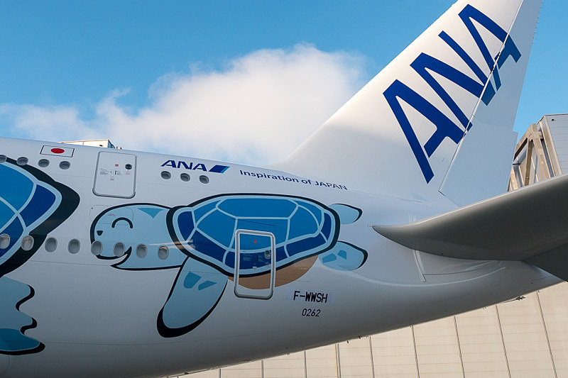 機体左右後方には亀の親子。ハワイの海をイメージした亀の名前は「ラニ（Lani）」