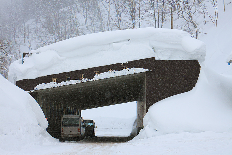 ちなみにこちらは以前、冬に撮影した雪覆道。吹きだまりができやすい場所、落雪が多い場所などは、雪覆道があるお陰で安心して通行することができます