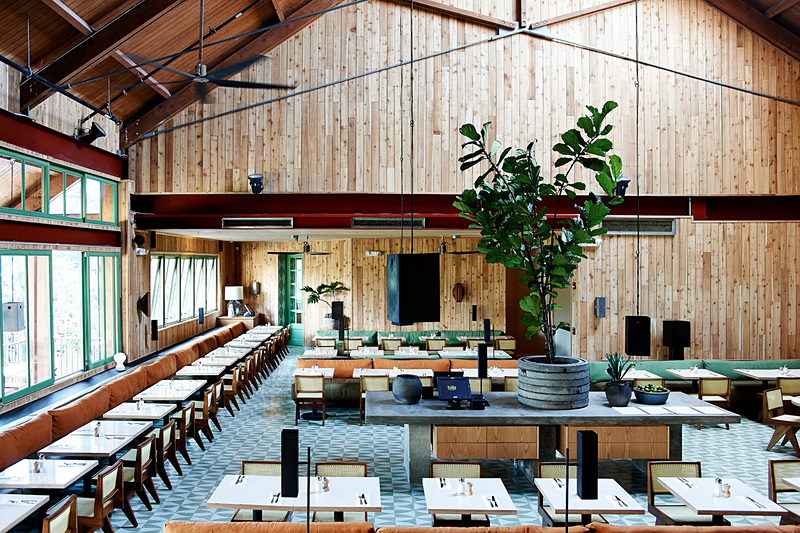 日本発のエコノミークラスではワイキキにあるレストラン「bills（ビルズ）」とのコラボレーションメニューを提供する（写真提供：ANA）