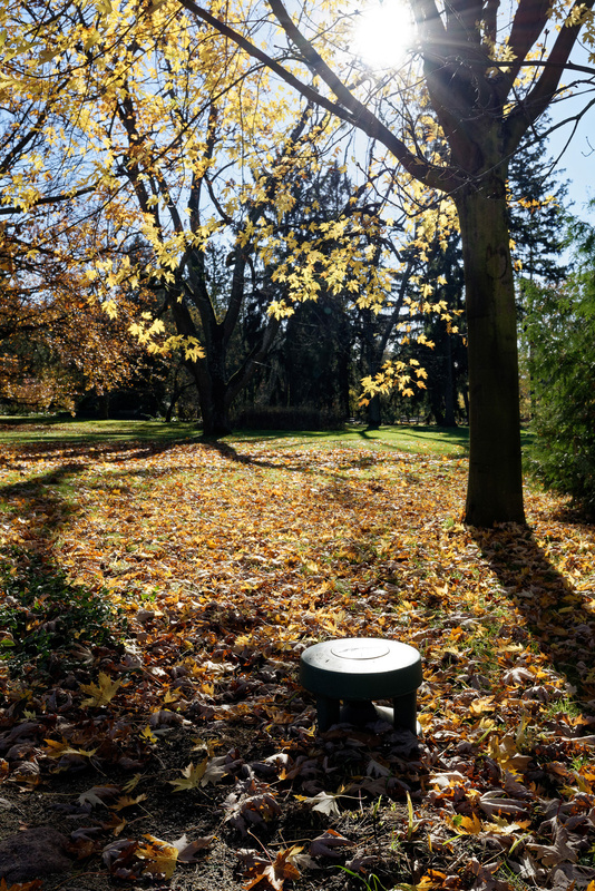 公園内にはスピーカーが設置され、ショパンの曲が常に流れている