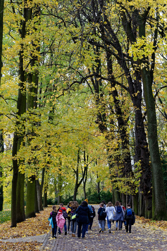 動物も多く見かける広大な公園。もともとは王族の夏の避暑地として利用されていたそう